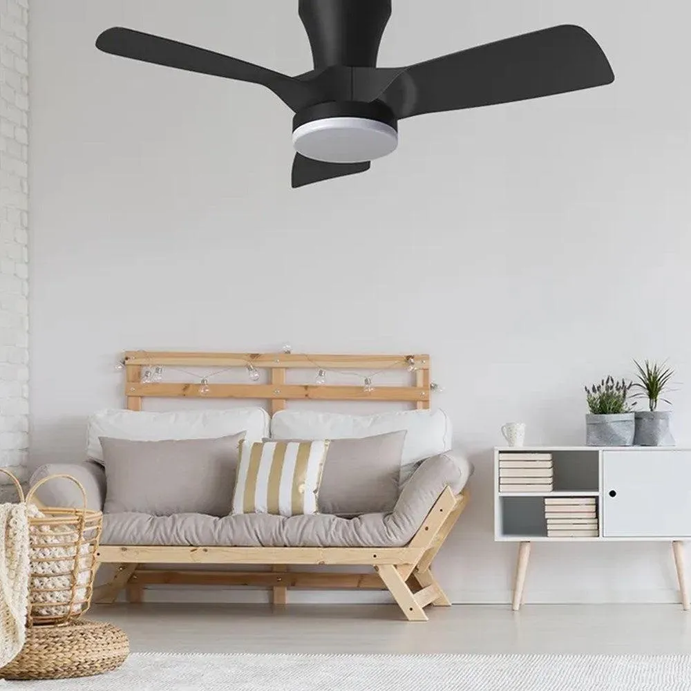 32" Kiwi DC Ceiling Fan White, Black with Light 5507062, 5507063 Vencha Lighting