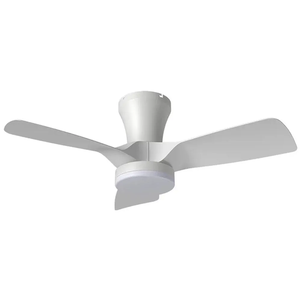 32" Kiwi DC Ceiling Fan White, Black with Light 5507062, 5507063 Vencha Lighting