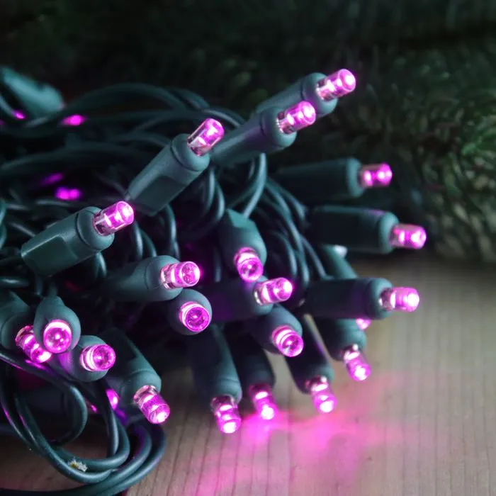 50-light  5mm Purple LED Christmas Lights, 6" Spacing Green Wire