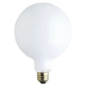 60 Watt G40 Incandescent White E26 (Medium) Base, 120 Volt, Box