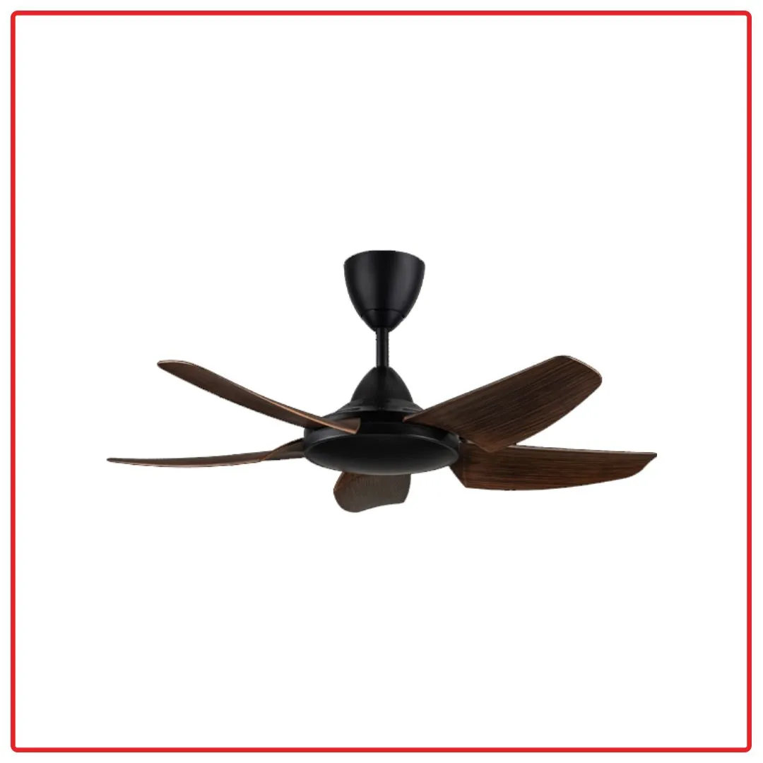 Alpha AX666(DC) 5B/40 40 Inch 5 Blades Ceiling Fan (Walnut)