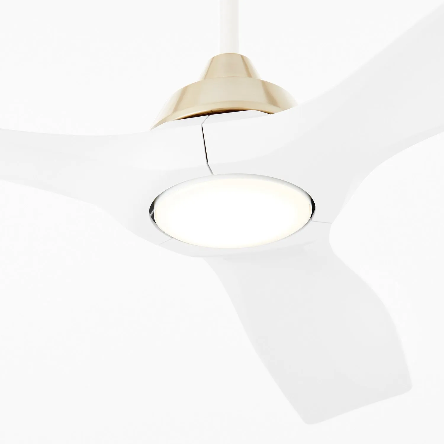 Avalon Ceiling Fan