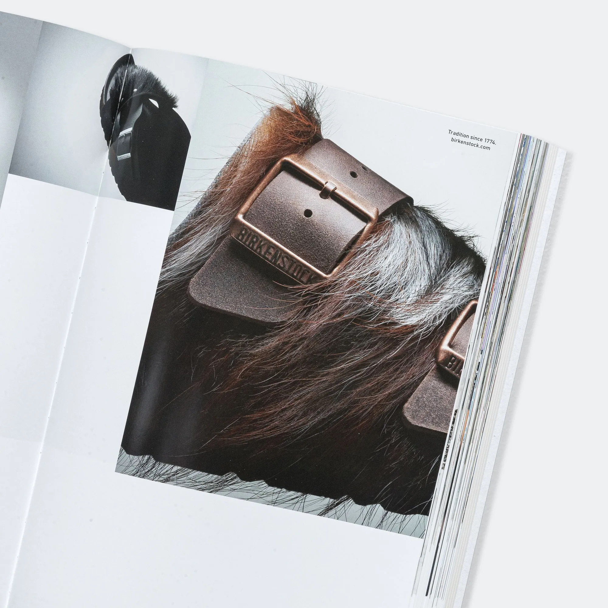 Book of Birkenstock - Coffee Table Book