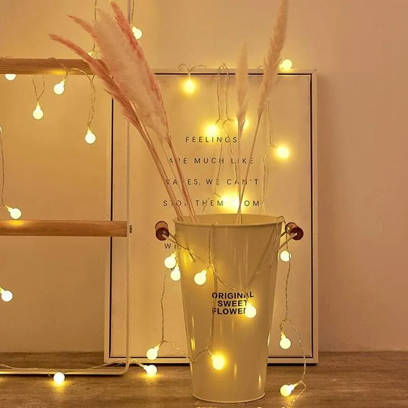 Fairy LED String Lights