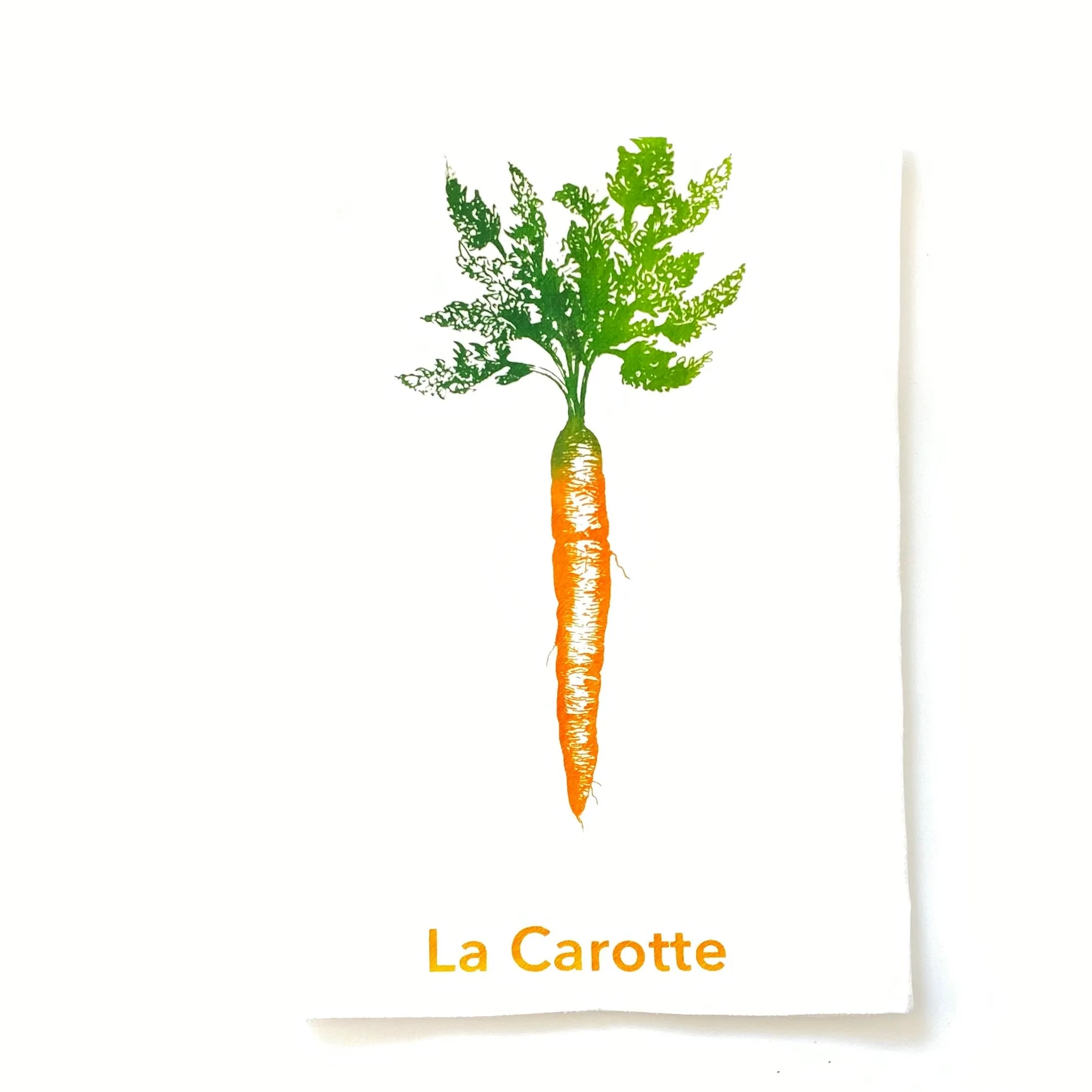 La Carotte Towel - Carrot