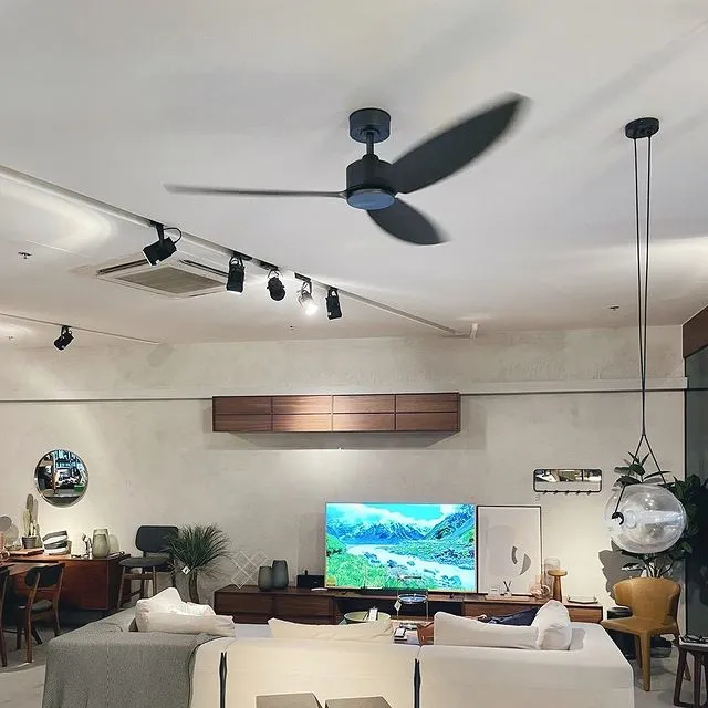 OCVE Modern Decor Fans (NLO)