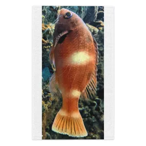 Orange Fish Rally Towel, 11x18